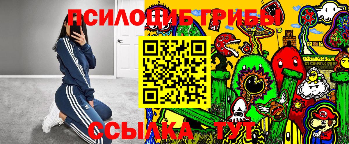 Псилоцибиновые грибы GOLDEN TEACHER Елабуга