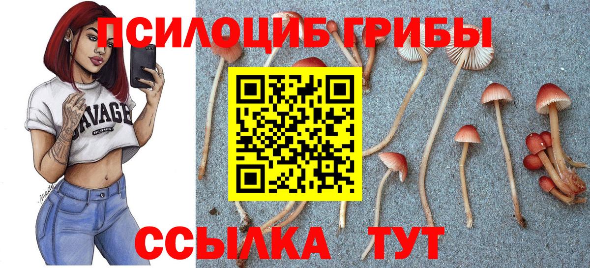 Галлюциногенные грибы MAGIC MUSHROOMS  Вход с VPN  Псилоцибиновые грибы Psilocybine cubensis  Елабуга 